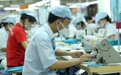 Chậm đóng bảo hiểm xã hội bị phạt tới 75 triệu đồng - Ảnh 2.