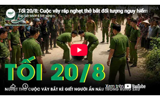 Tranh Chấp Di Sản: Anh Em Hục Hặc Vì 7 Thửa Đất Khổng Lồ
