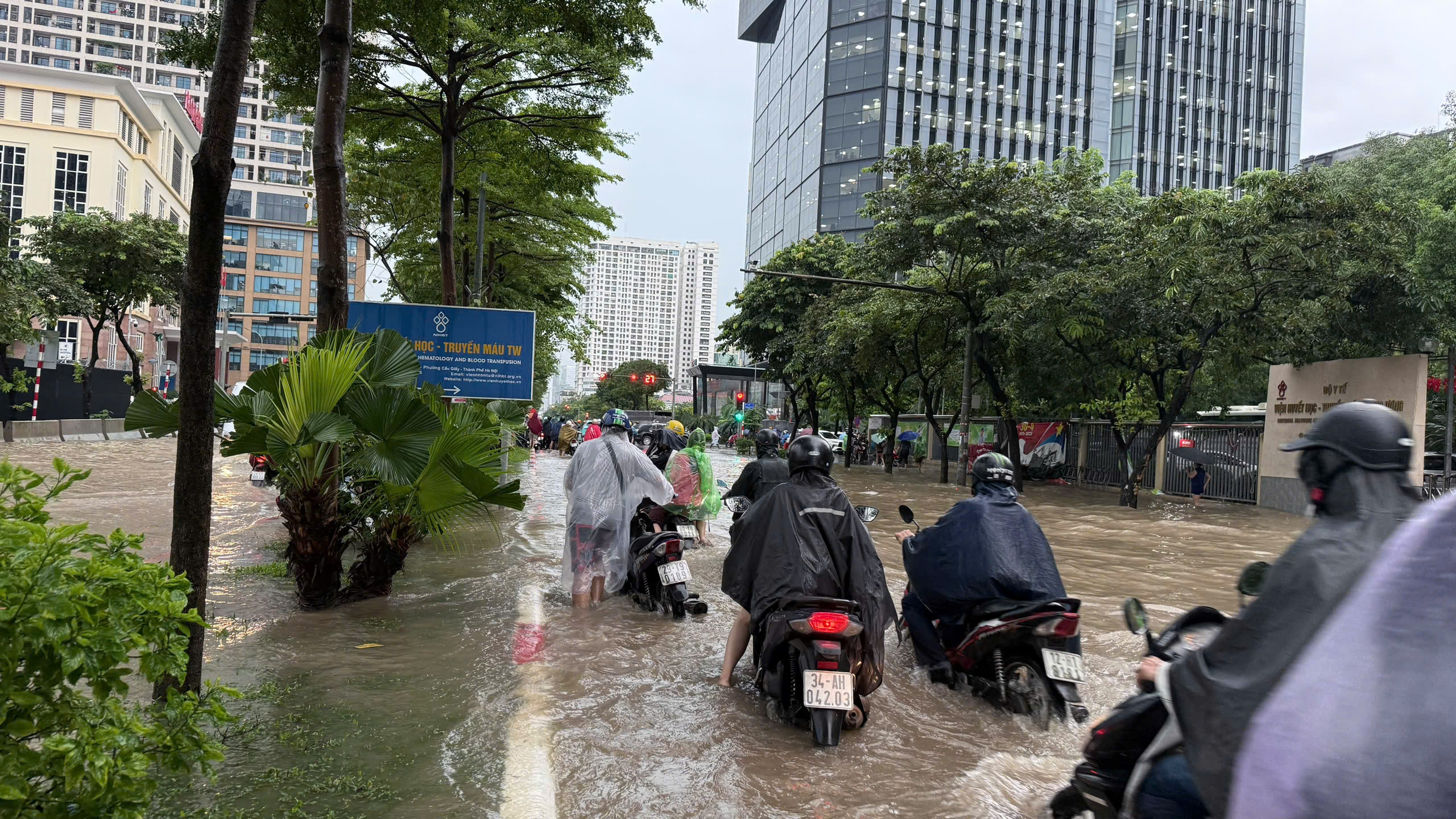 Thời Tiết Miền Bắc: Khi Nào Đón Nhận Mưa Dông Giải Nhiệt Nắng Nóng?